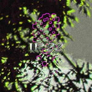 IP22 (Explicit)