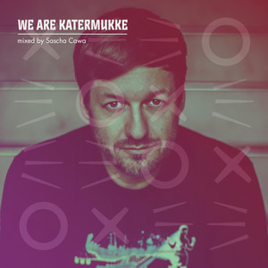Little Bird (Dirty Doering Remix|Mixed)