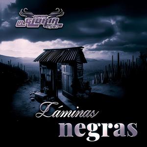 Láminas Negras