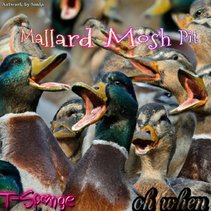 Mallard Mosh Pit