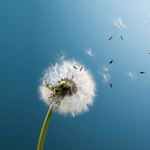 星星照亮回家的路