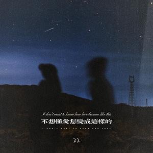 不想懂爱怎变成这样的 (语录版)