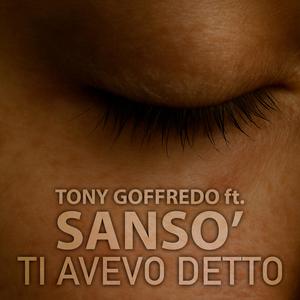 TI AVEVO DETTO (feat. Sansò)