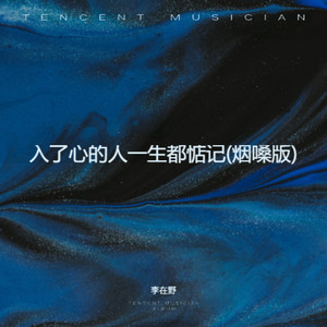 入了心的人一生都惦记-李在野