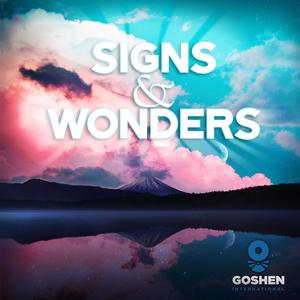 Signs and Wonders