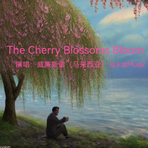 The Cherry Blossoms Bloom