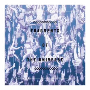 Fragments Of The Universe