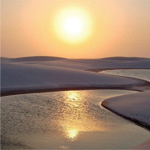 O Insano e o Bacharel