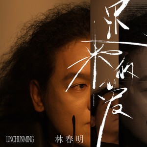 林春明 - 迟来的爱