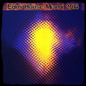 Edm House Miami 2014 (Top 30 the Very Best of Dance House Electro Trance Progressive Edm Hits)