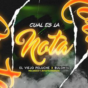 Cual Es La Nota (feat. El Viejo Peluche & bulon15)