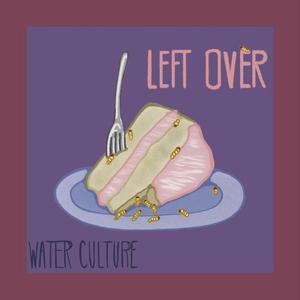 LEFT OVER
