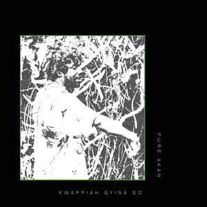 Kwappiah Gyina So (Explicit)