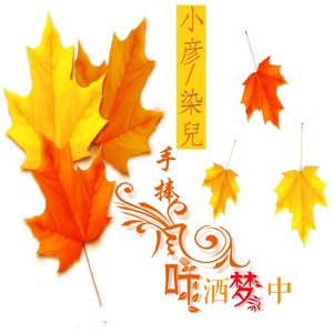 手捧枫叶洒梦中 (伴奏)