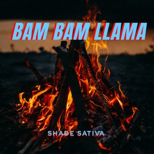 Bam Bam Llama (Explicit)