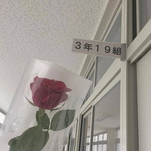 车载的劲爆DJ