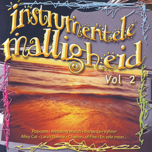 Instrumentele Malligheid Vol 2