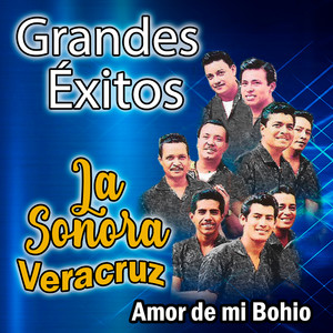 Grandes Éxitos - Amor de mi bohio