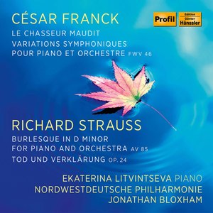 Burleske in D Minor, TrV 145 - Burleske in D Minor, TrV 145
