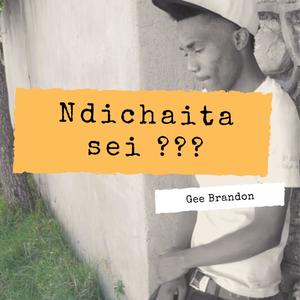 Ndichaita Sei?
