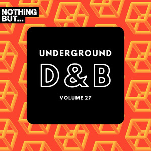 We're Just A Grain Of Sand (DUNNOWHO, Bagha Remix)