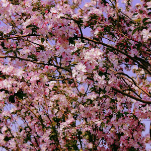 这个世界真美好