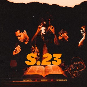 S.23 (Explicit)