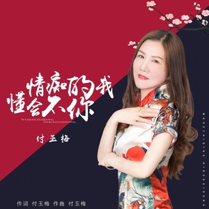我的痴情你不会懂 (DJ晓朋版)