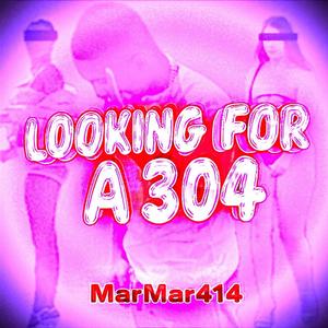 Looking For A 304