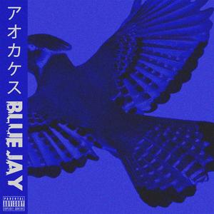 Blue Jay (feat. lil mak) [Explicit]