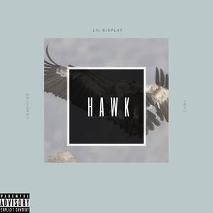 Hawk (Explicit)