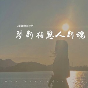 琴断相思人断魂