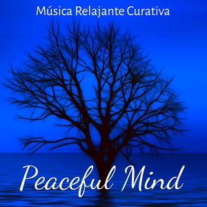 Peaceful Mind - Música Relajante Curativa para Ejercicios de Meditación Alineación de Chakras Reducir la Ansiedad con Sonidos de la Naturaleza New Age Instrumentales