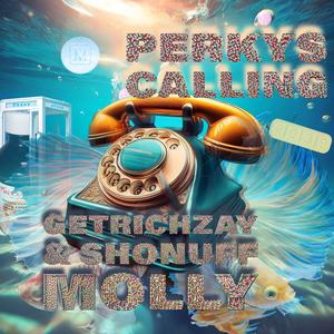 Perkys Calling (feat. GetRichZay) [Explicit]