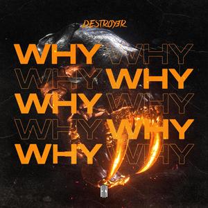 WHY (Radio Mix)