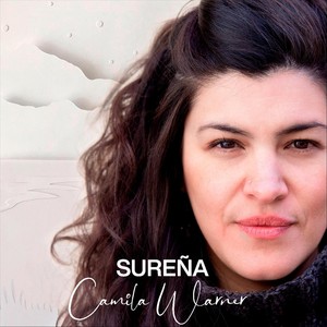 Al Sur del Cielo(feat. Jose Torelli)