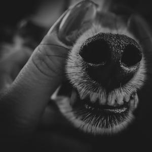 Friend or Foe (feat. Sam Mitchem) (Explicit)