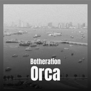 Botheration Orca