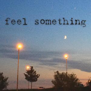 Feel Something