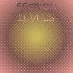 Section Levels