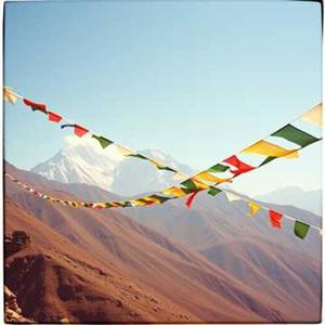 Ode of evolution (feat. lyrics by Adrian Crawford)