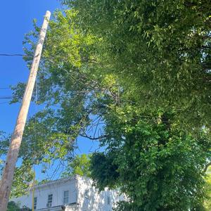 this life of mine (Explicit)