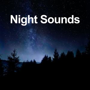 Sleeping Night Nature Sounds for Sleep, Relaxing, Meditation