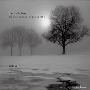 Schubert: Klaviersonaten D 845 & D 958