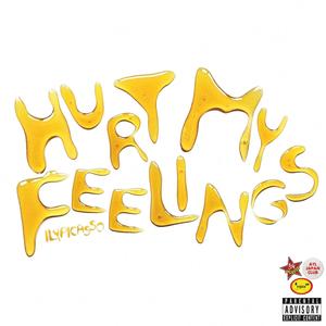 Hurt My Feelings (Explicit)