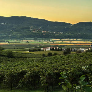 IHAC (feat. Bdr!ppyy) (Explicit)