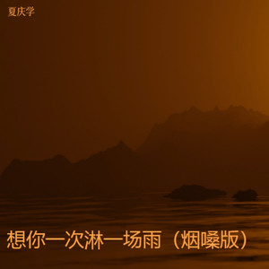 想你一次就淋一场雨 (烟嗓版)