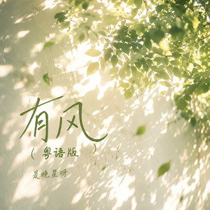 有风-是晚星呀