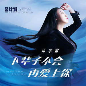 下辈子不会再爱上你