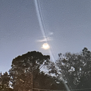 Wake Before Noon (Explicit)